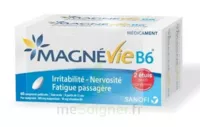 Magnevie B6 100 Mg/10 Mg Comprimés Pelliculés 2plq/60 (120) à SAINT-GEORGES-SUR-BAULCHE