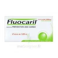 Fluocaril Bi-fluoré 250 Mg Pâte Dentifrice Menthe 2t/125ml à SAINT-GEORGES-SUR-BAULCHE